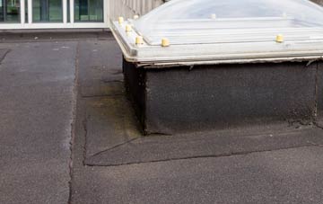 disadvantages of Black Barn flat roofs