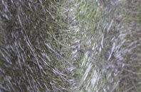 Black Barn fibreglass roof work